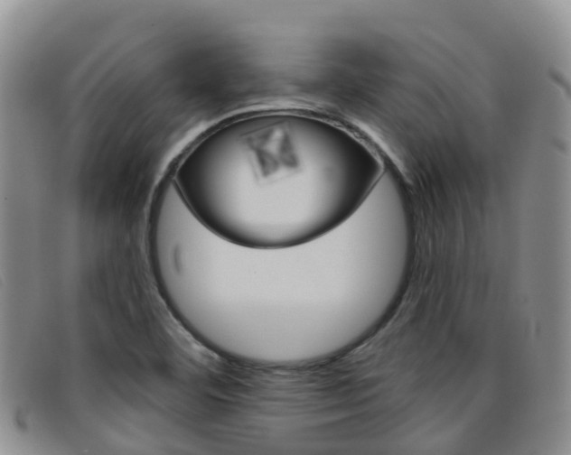 X0000096721460200802051049