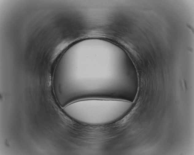 X0000096721461200802051049