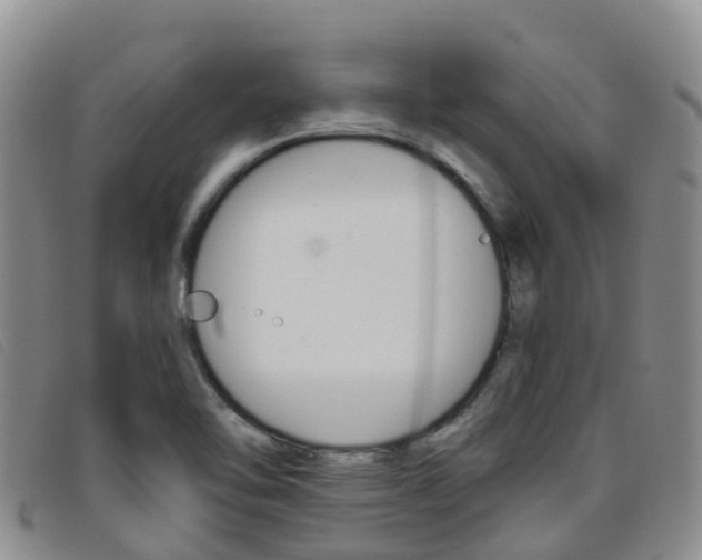 X0000096721462200802051049