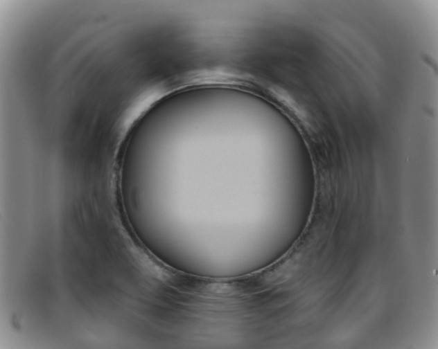 X0000096721463200802051049