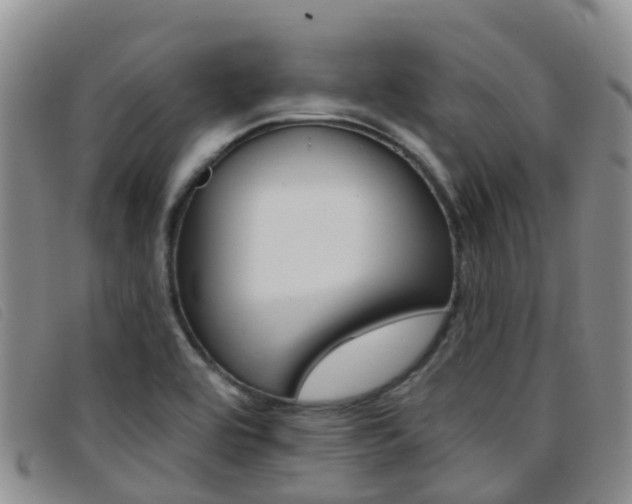 X0000096721464200802051049