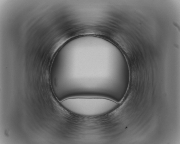 X0000096721465200802051049