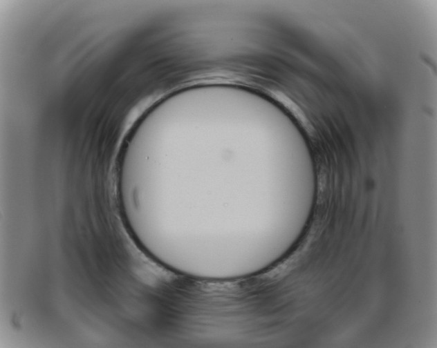 X0000096721466200802051049