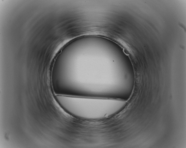 X0000096721468200802051049