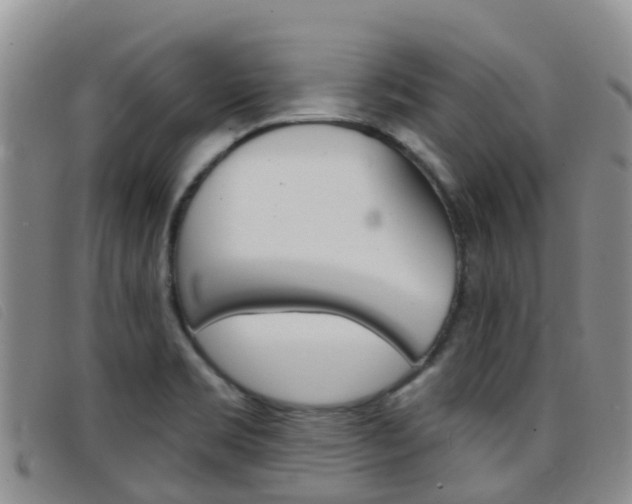 X0000096721469200802051049