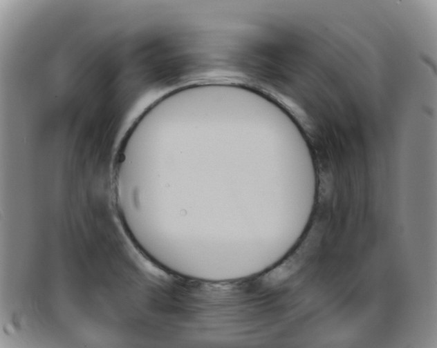 X0000096721470200802051049