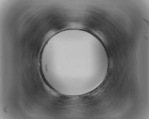 X0000096721471200802051049