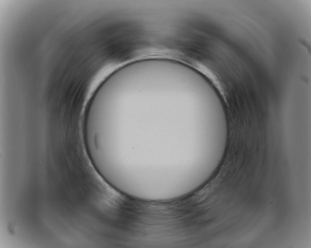 X0000096721472200802051049