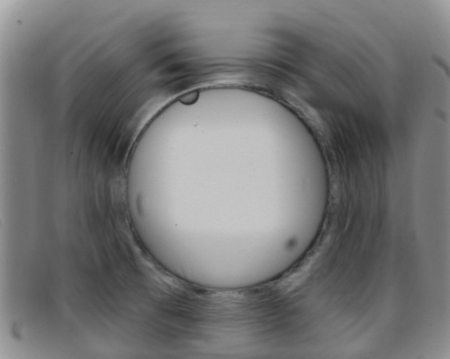 X0000096721473200802051049