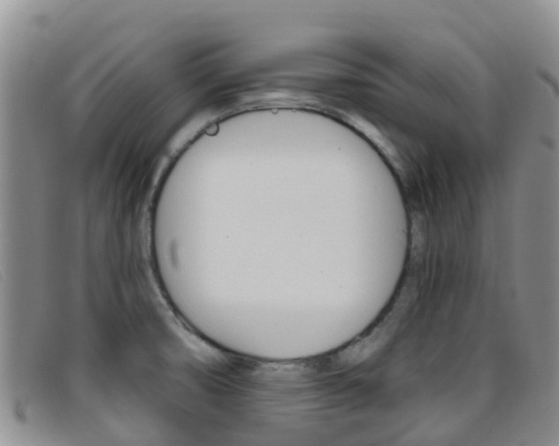 X0000096721474200802051049