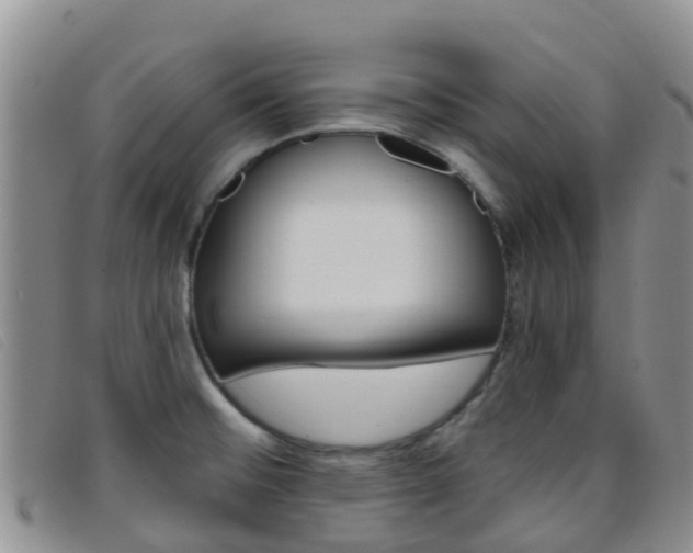 X0000096721476200802051049