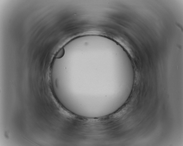 X0000096721477200802051049
