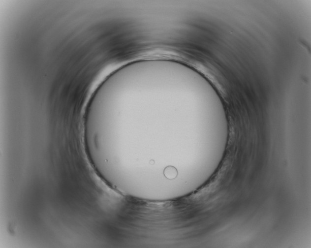 X0000096721478200802051049