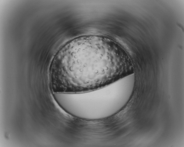 X0000096721479200802051049
