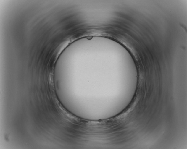 X0000096721481200802051049