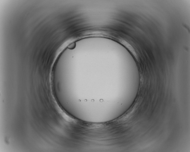 X0000096721482200802051049