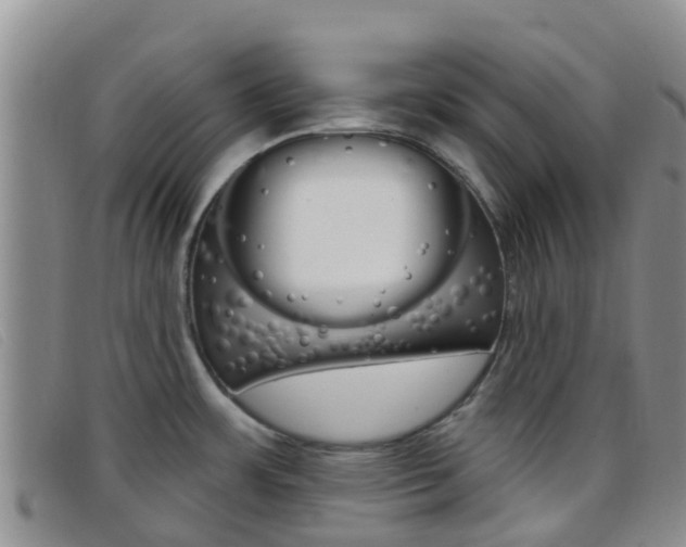 X0000096721483200802051049