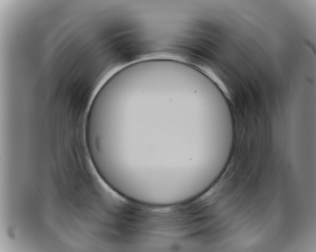 X0000096721484200802051049