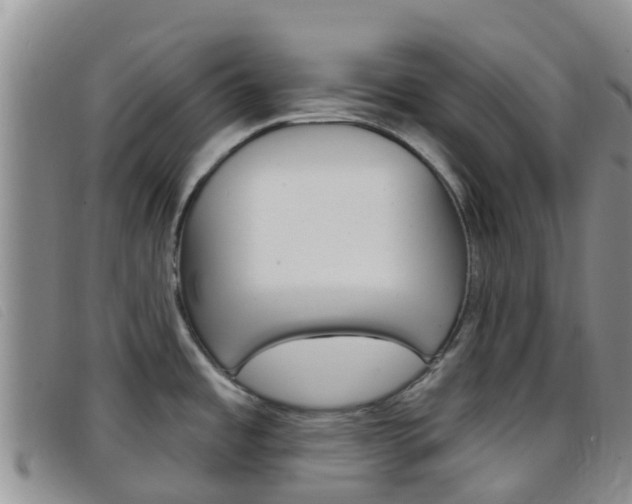 X0000096721485200802051049