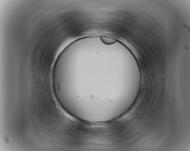X0000096721486200802051049