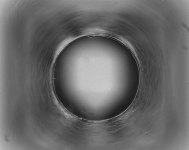 X0000096721488200802051049