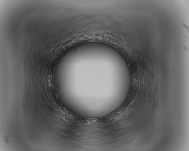 X0000096721490200802051048