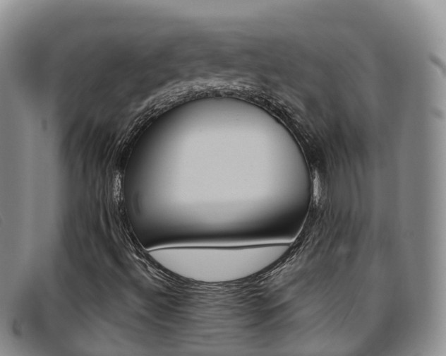 X0000096721492200802051048