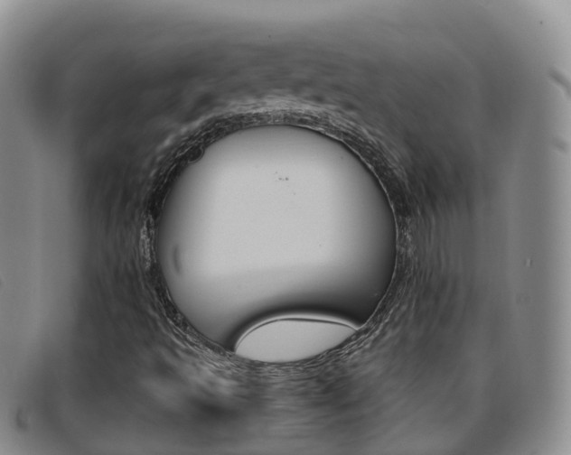 X0000096721493200802051048