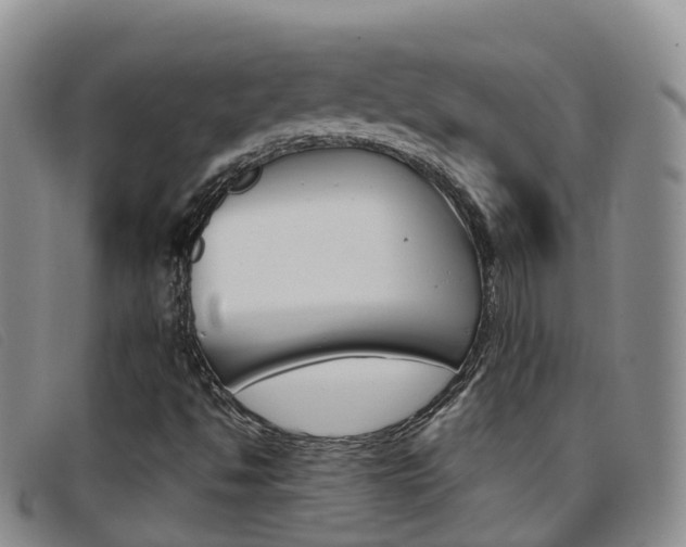 X0000096721494200802051048