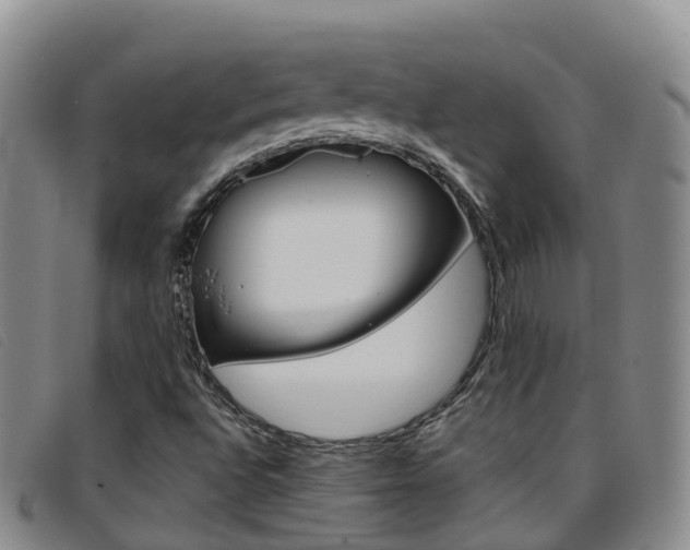 X0000096721496200802051048