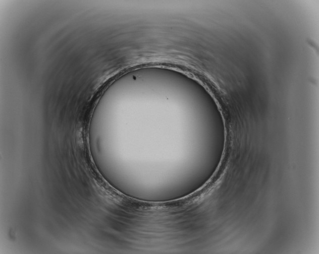X0000096721497200802051048