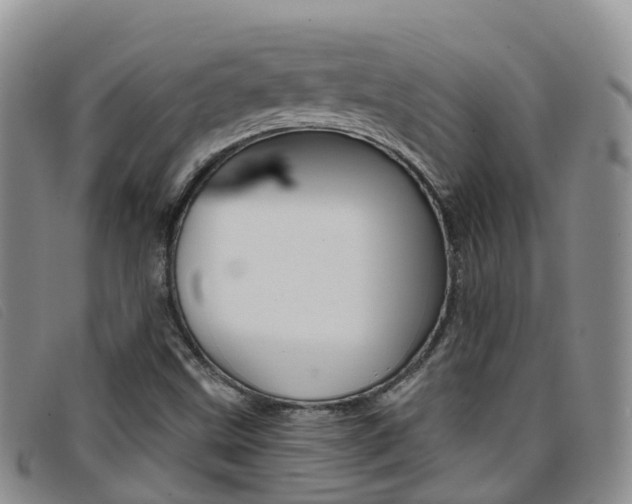 X0000096721499200802051048