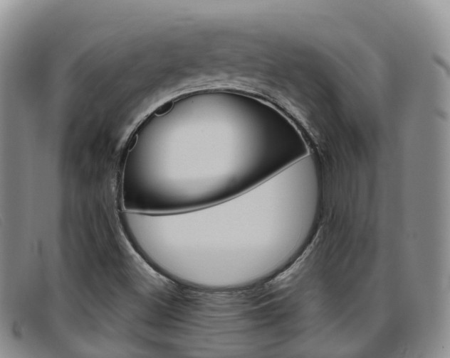 X0000096721500200802051048
