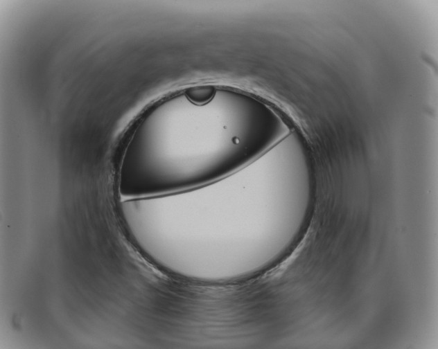 X0000096721502200802051048