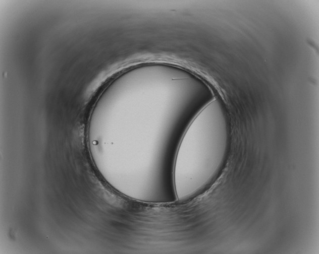X0000096721503200802051048