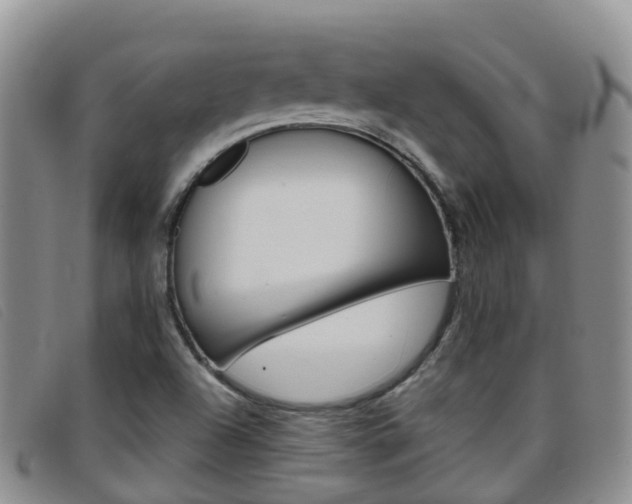 X0000096721504200802051048