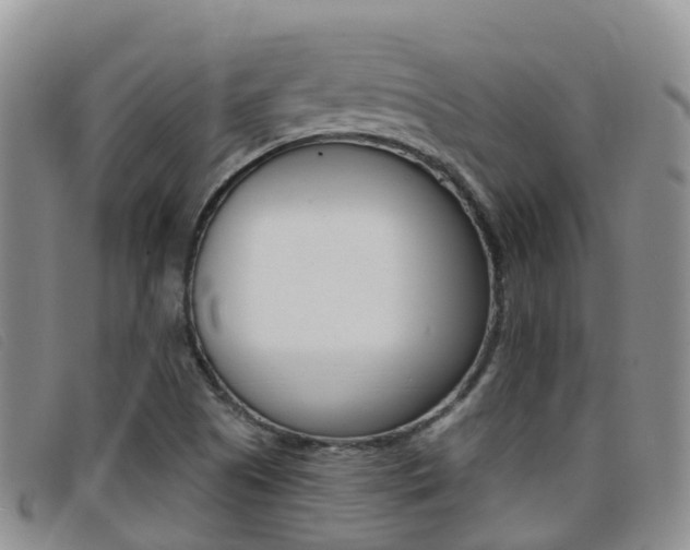 X0000096721505200802051048