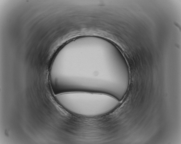 X0000096721507200802051048