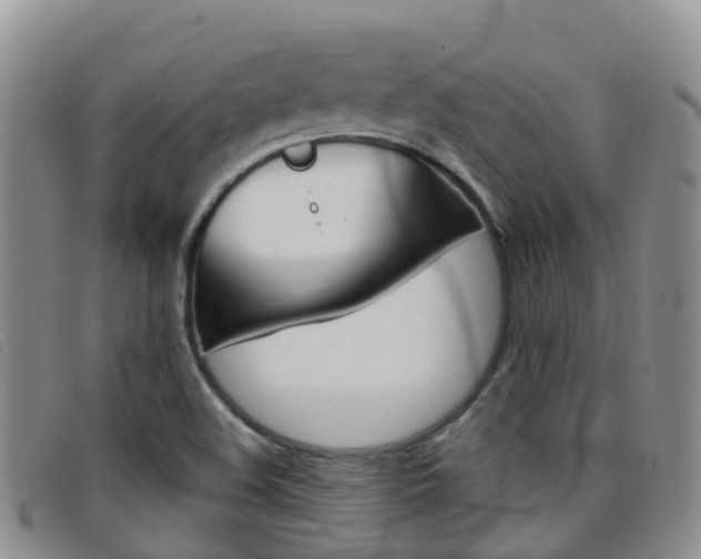 X0000096721508200802051048