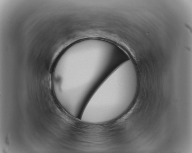 X0000096721509200802051048