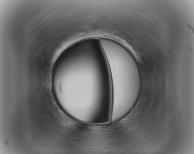 X0000096721512200802051048