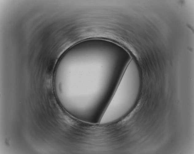 X0000096721513200802051048