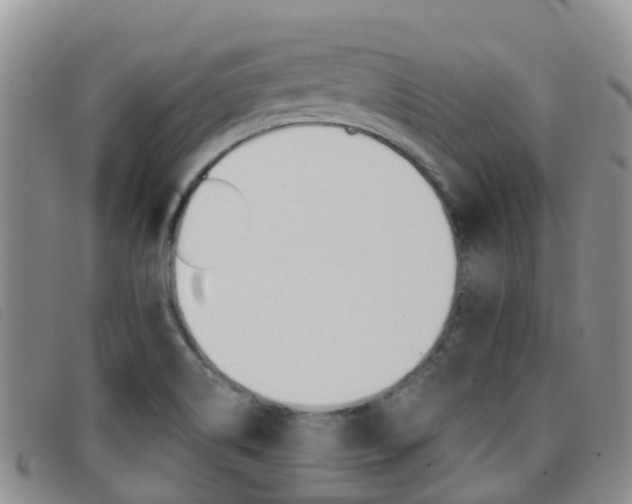 X0000096721514200802051048