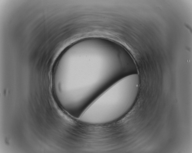 X0000096721515200802051049