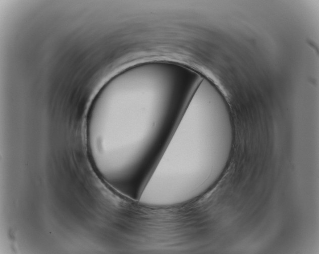 X0000096721516200802051049
