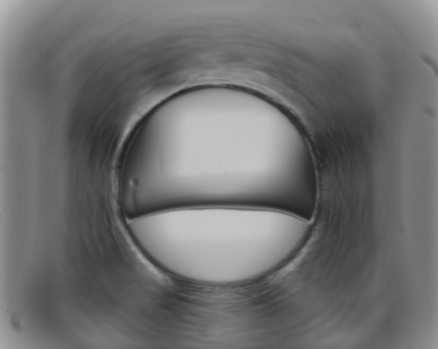 X0000096721517200802051049