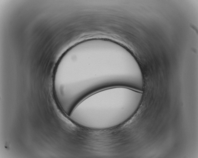 X0000096721518200802051049
