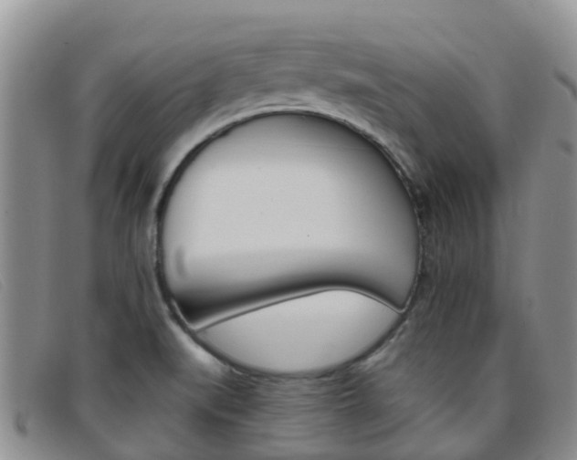 X0000096721519200802051049