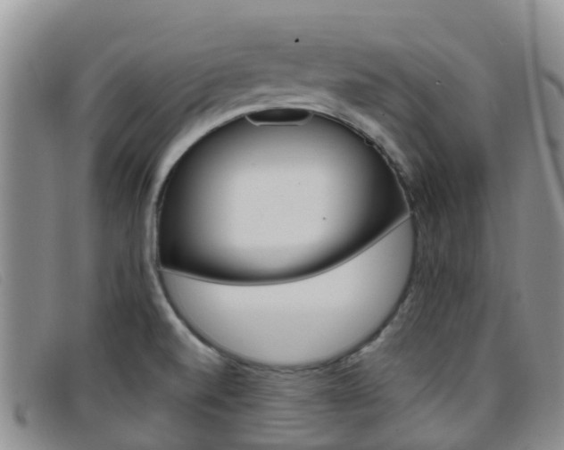 X0000096721520200802051049