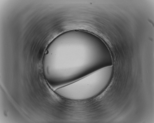 X0000096721521200802051049
